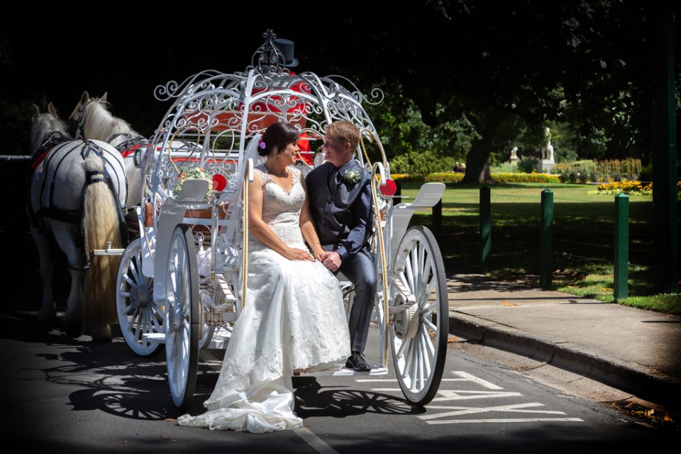 wedding-dress-bride-sitting-groom-horse-cinderella-carriage-infocus-phtography