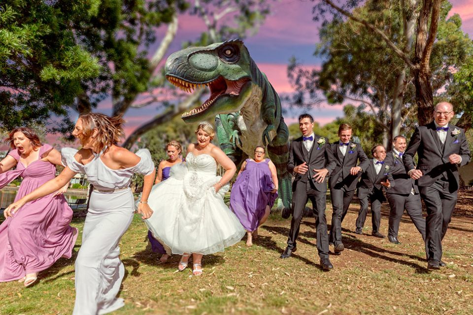 desinger-portrait-dinosaur-wedding-melbourne-running-away-scared-bride-groom-family-infocus-photography